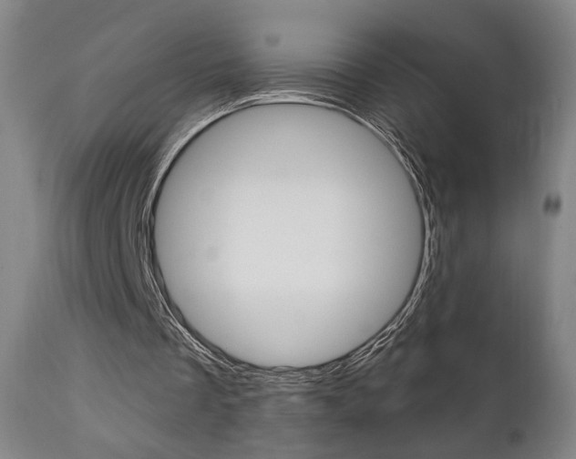X0000111380289200907100944