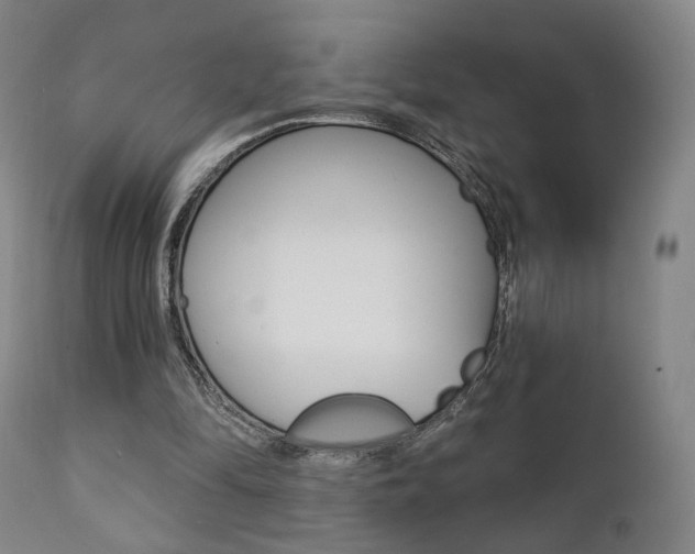 X0000111380294200907100944