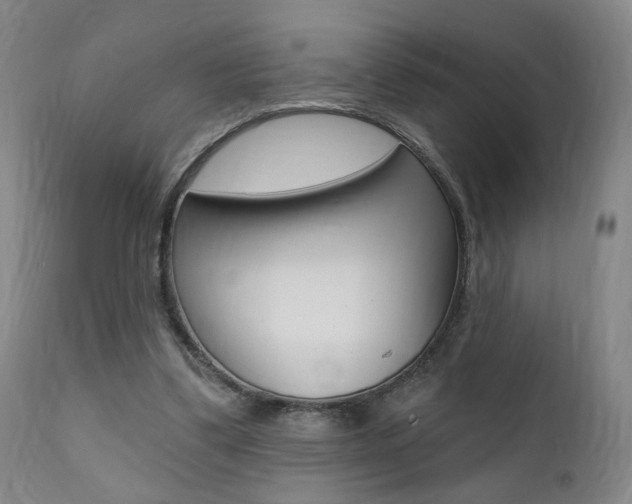 X0000111380299200907100943