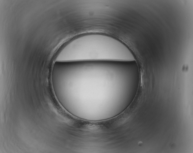 X0000111380300200907100943