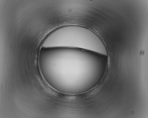 X0000111380301200907100943