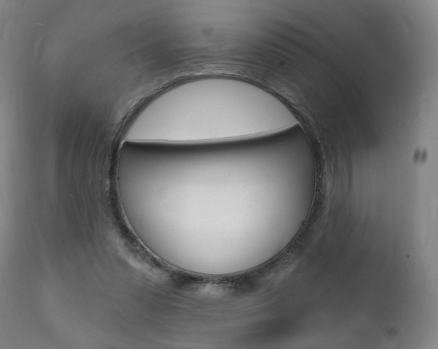 X0000111380303200907100943
