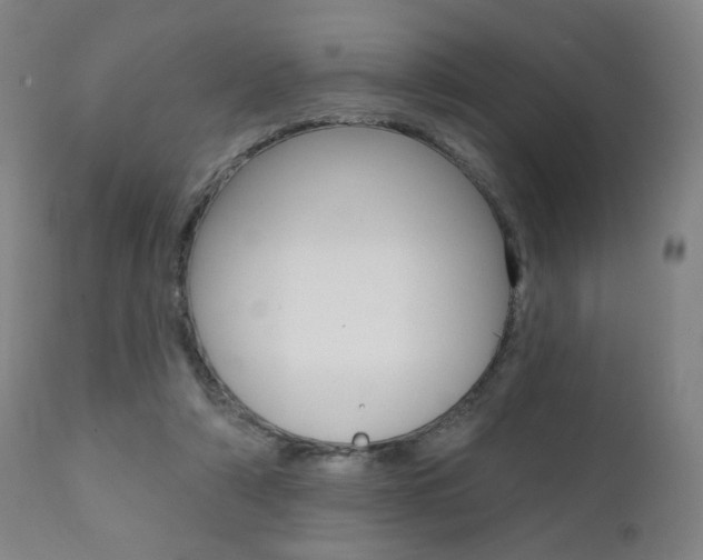 X0000111380306200907100943