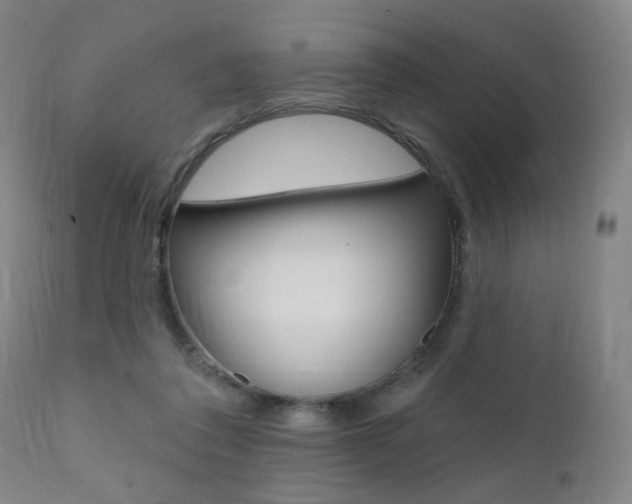 X0000111380308200907100943