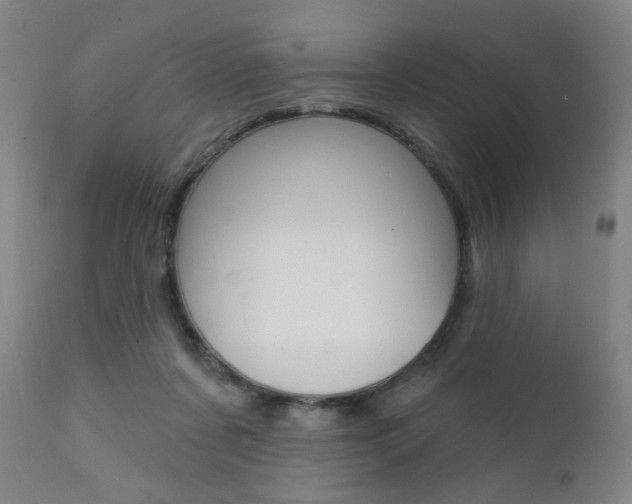 X0000111380311200907100943