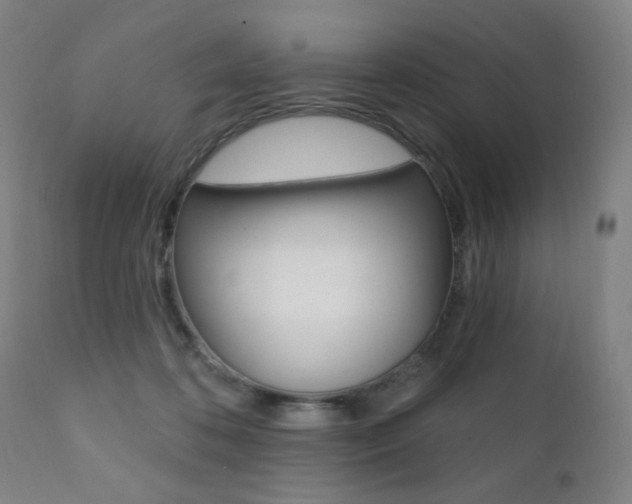 X0000111380316200907100943