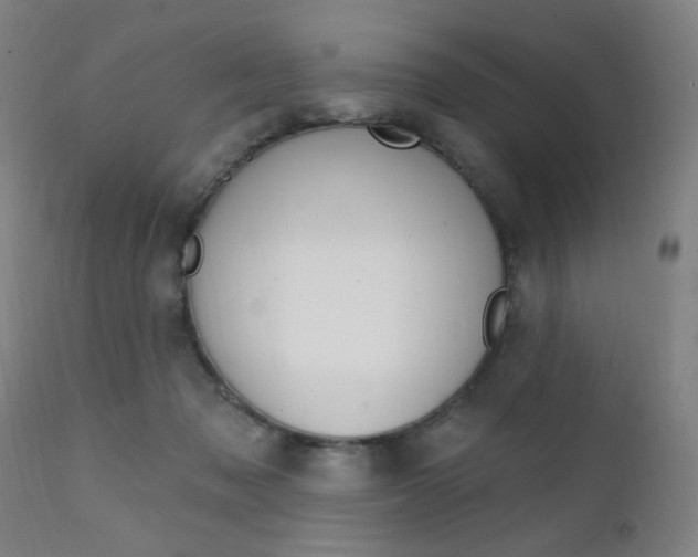 X0000111380317200907100943