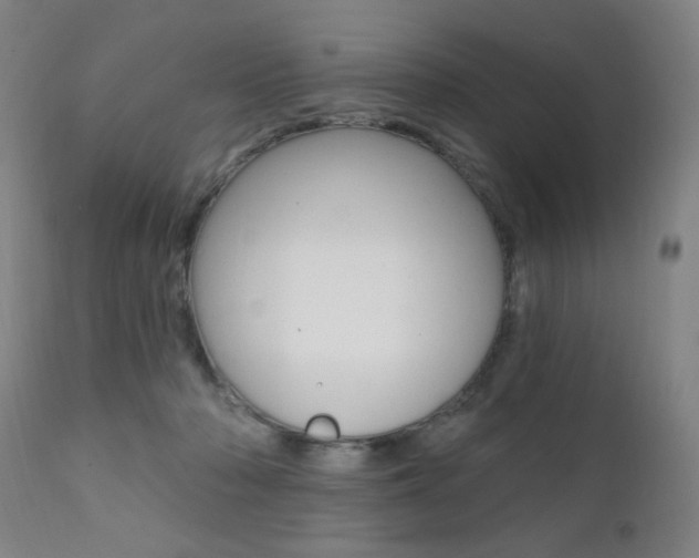 X0000111380318200907100943
