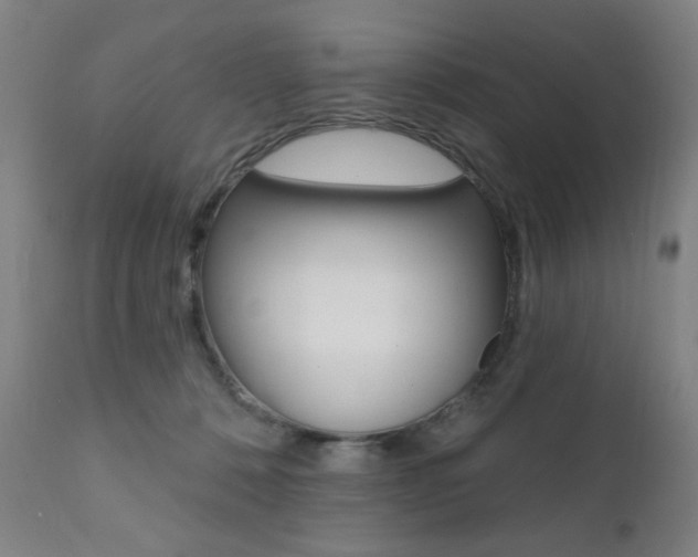 X0000111380320200907100943