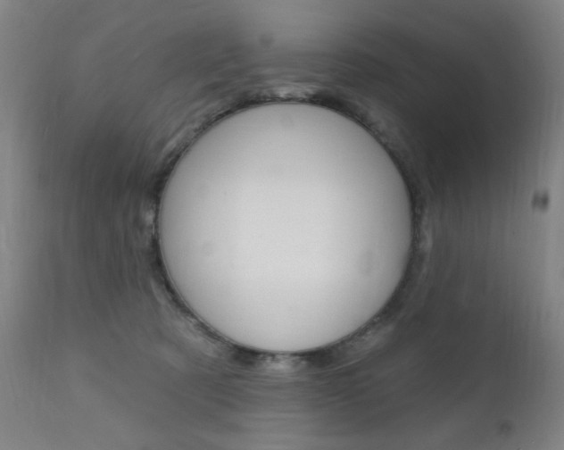 X0000111380321200907100943