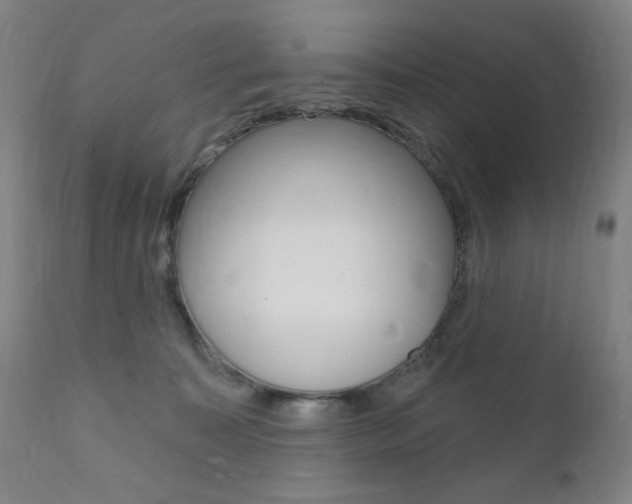 X0000111380323200907100943