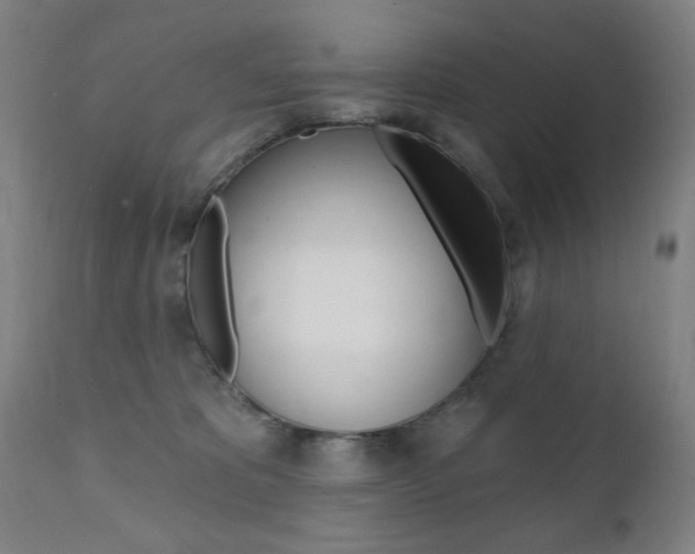 X0000111380325200907100943