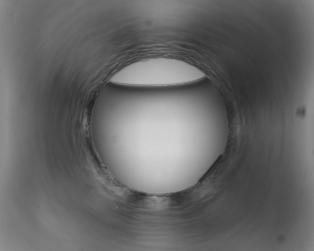 X0000111380328200907100943