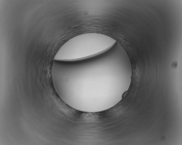 X0000111380331200907100943