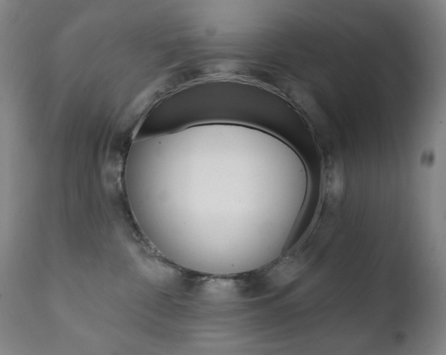 X0000111380332200907100943