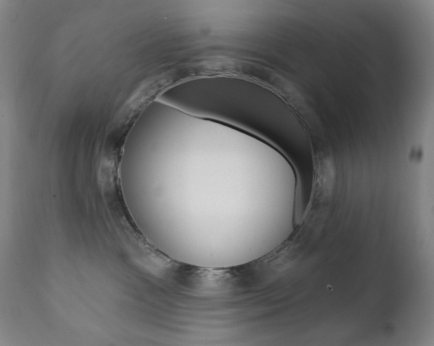 X0000111380333200907100943