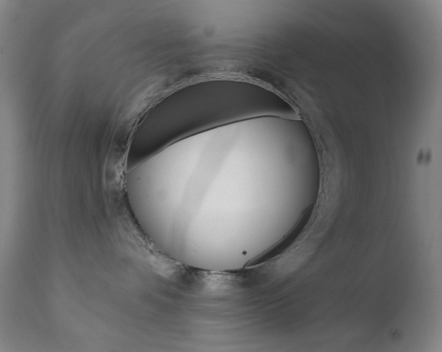 X0000111380336200907100943