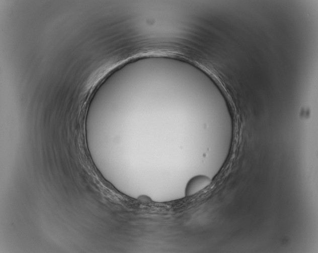 X0000111380337200907100942