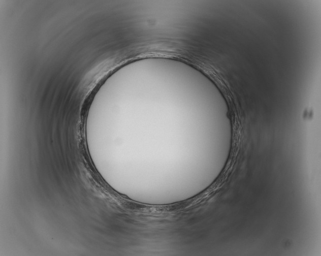 X0000111380338200907100942