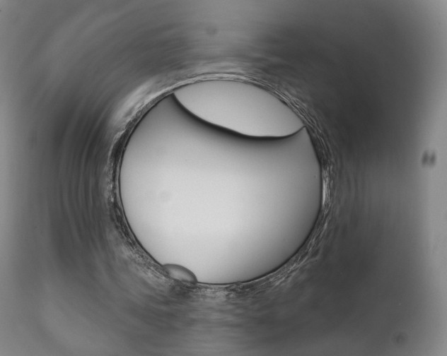 X0000111380339200907100942