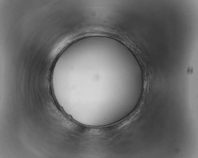 X0000111380341200907100942