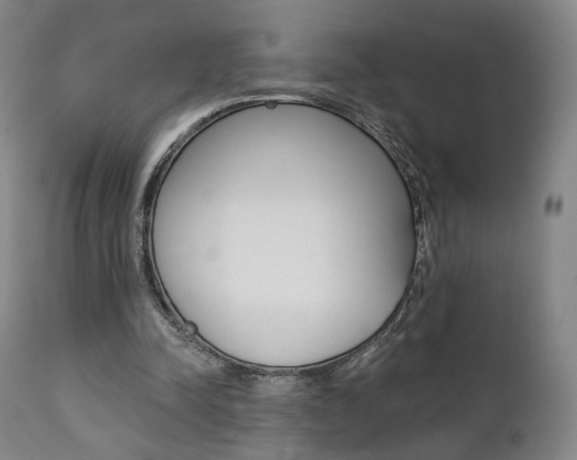 X0000111380342200907100942