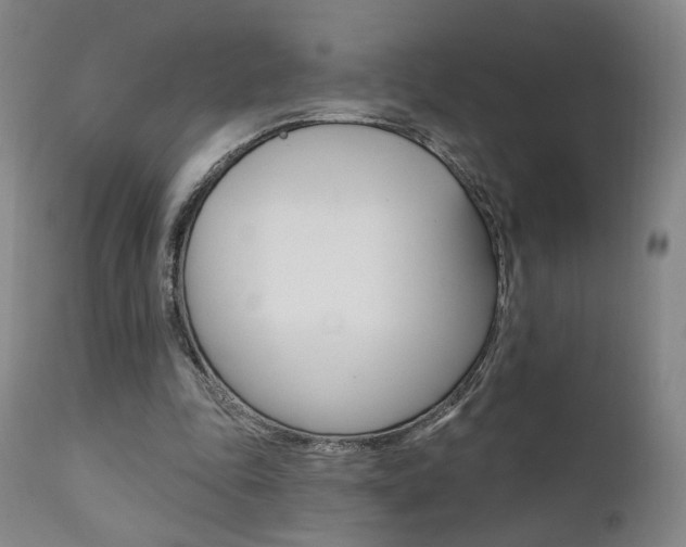 X0000111380343200907100942