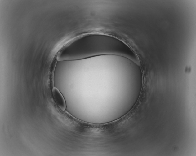 X0000111380344200907100942