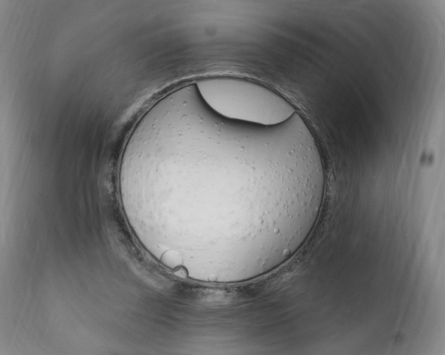X0000111380347200907100942
