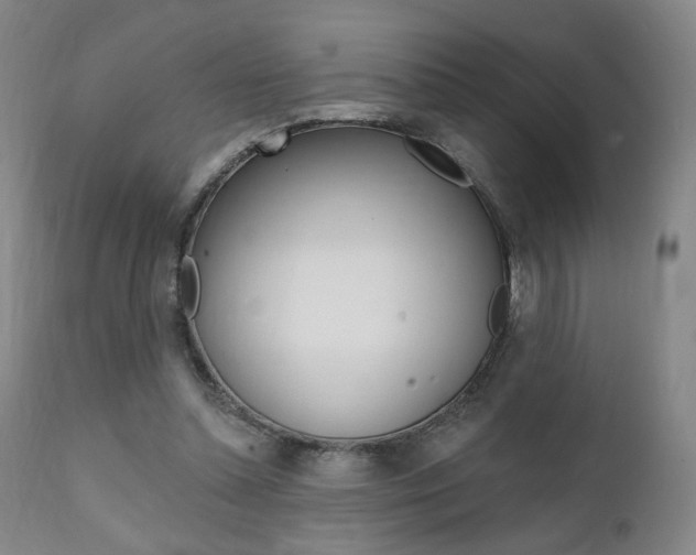 X0000111380348200907100942