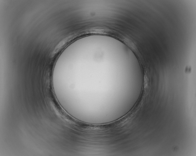 X0000111380349200907100942