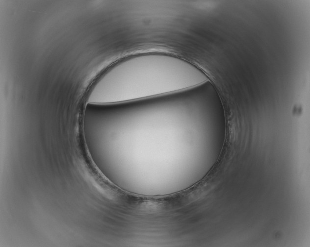 X0000111380350200907100942