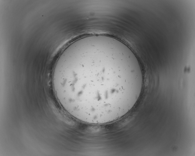 X0000111380351200907100942