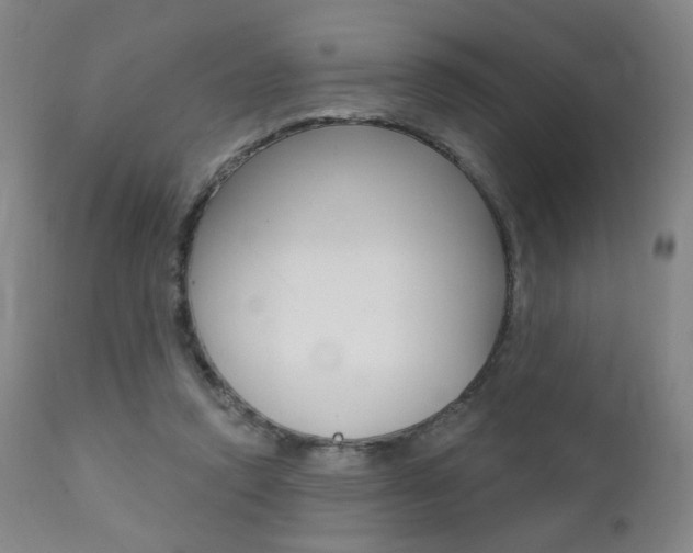 X0000111380354200907100942