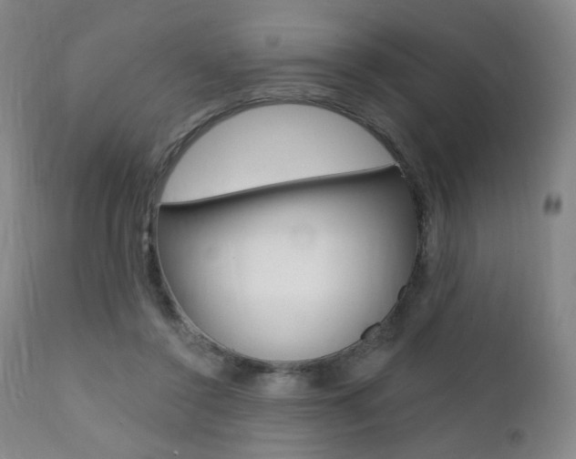 X0000111380356200907100942