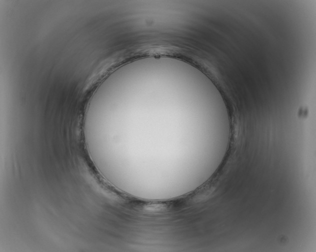 X0000111380357200907100942