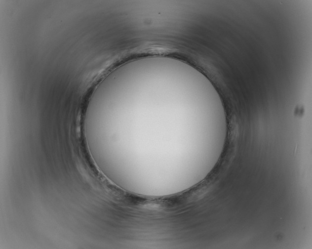 X0000111380358200907100942