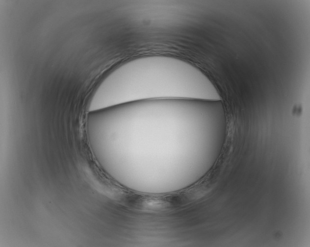 X0000111380360200907100942
