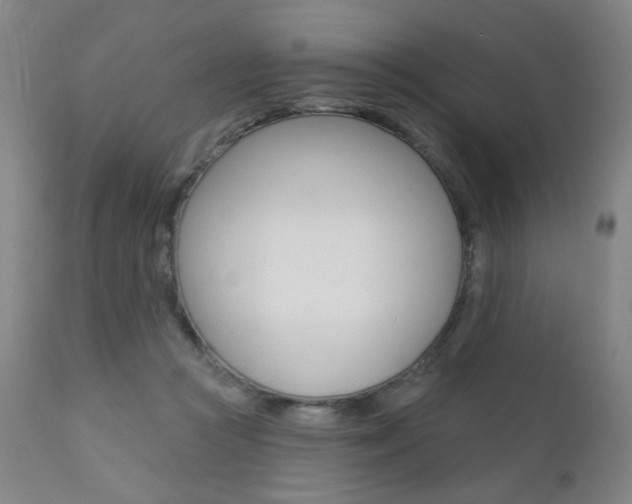 X0000111380361200907100942