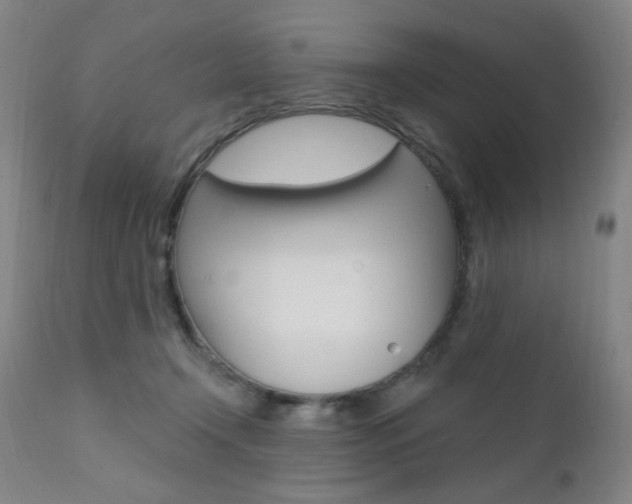 X0000111380366200907100943