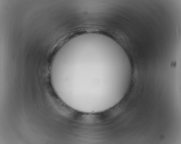 X0000111380367200907100943