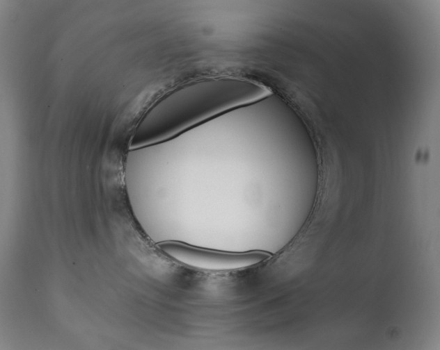 X0000111380384200907100943