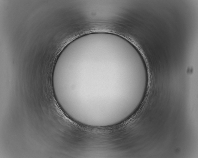 X0000111380385200907100942