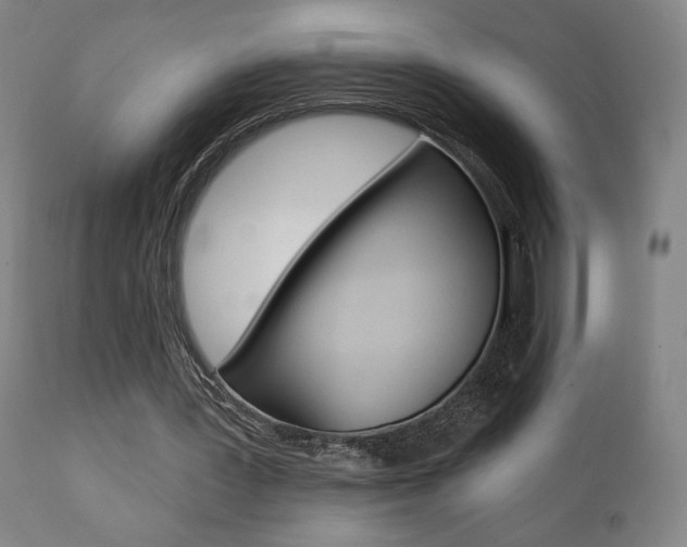 X0000111380387200907100942
