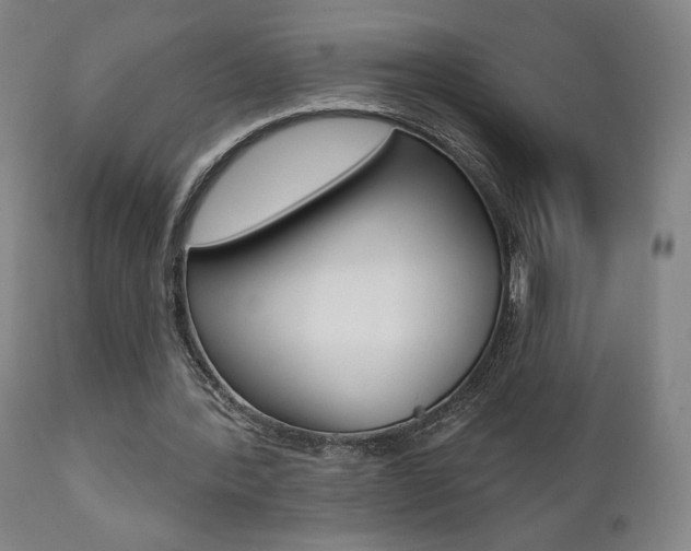X0000111380388200907100942