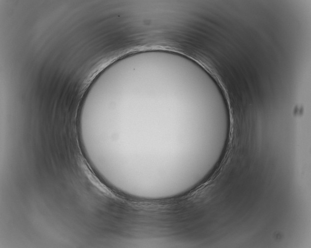 X0000111380389200907100942