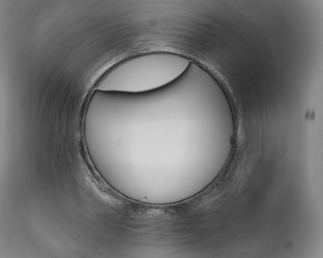 X0000111380390200907100942
