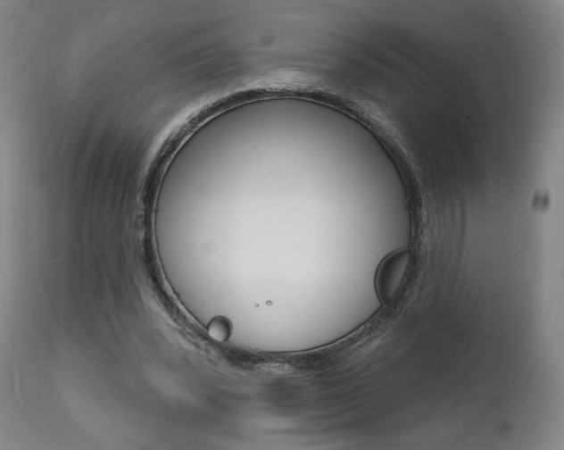 X0000111380392200907100942