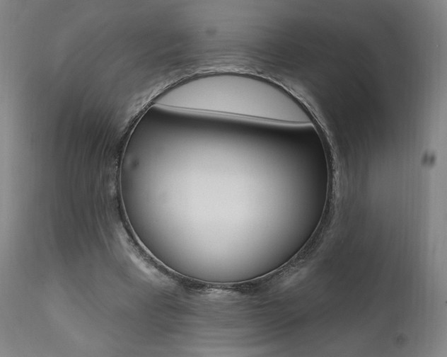 X0000111380393200907100942