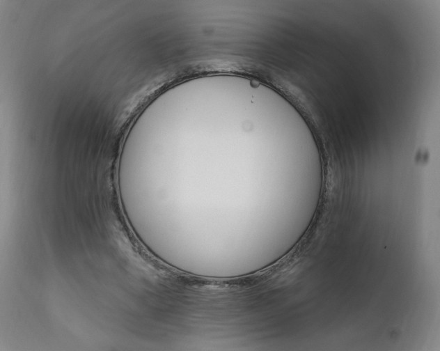 X0000111380394200907100942